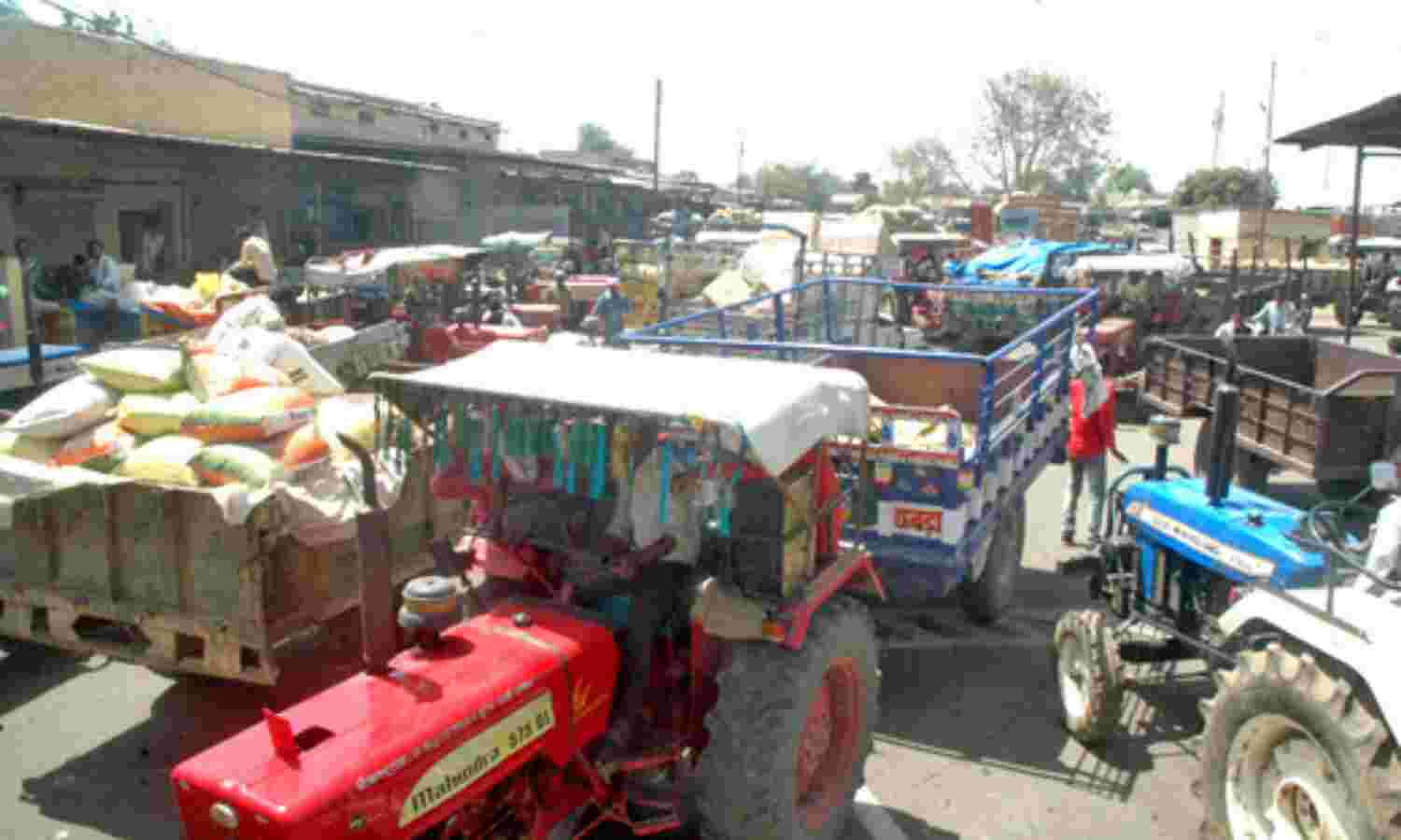 मंडी में होने लगी अनाज की बारिश मंडी में होने लगी अनाज की बारिश