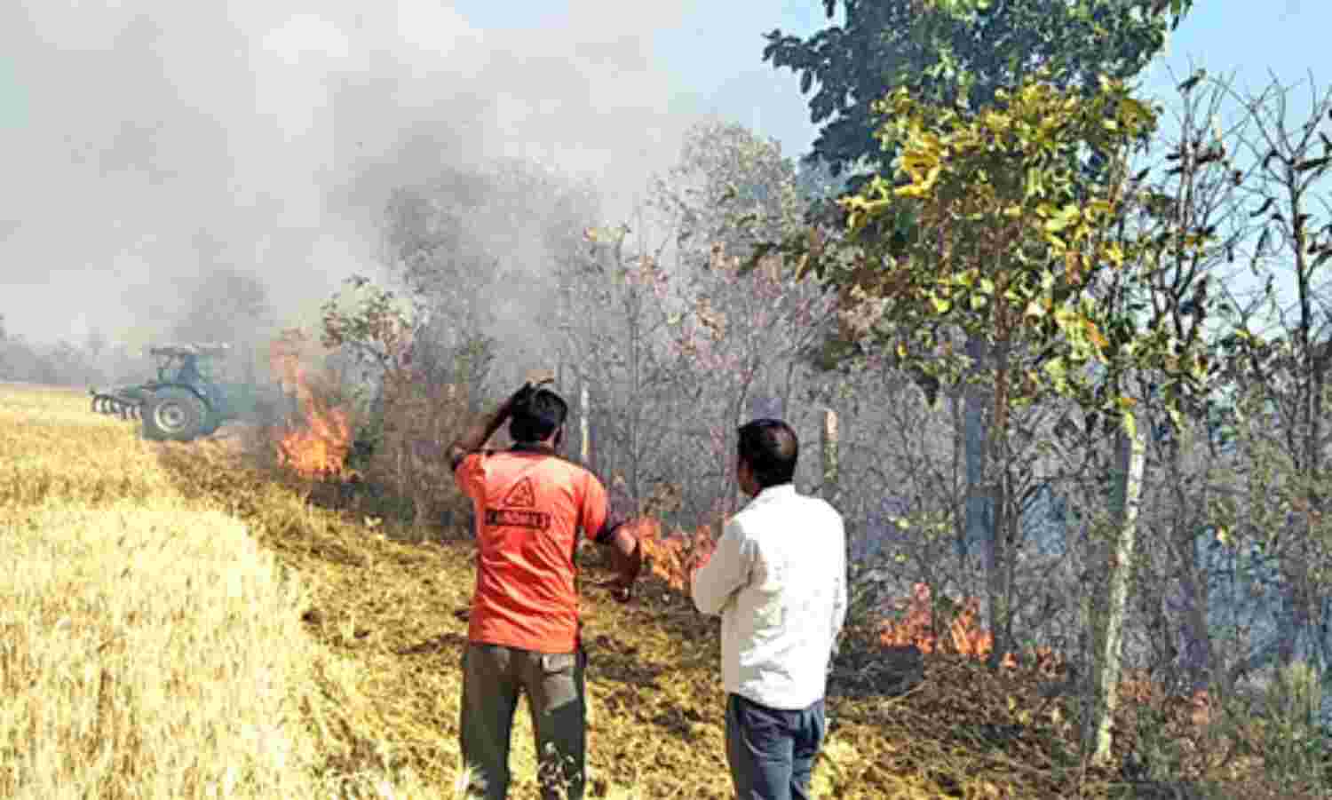 आग से राख हो गई लहलहाती फसल