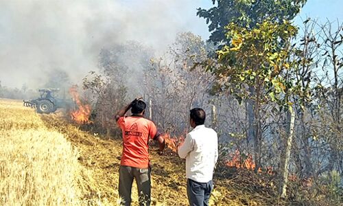 आग से राख हो गई लहलहाती फसल