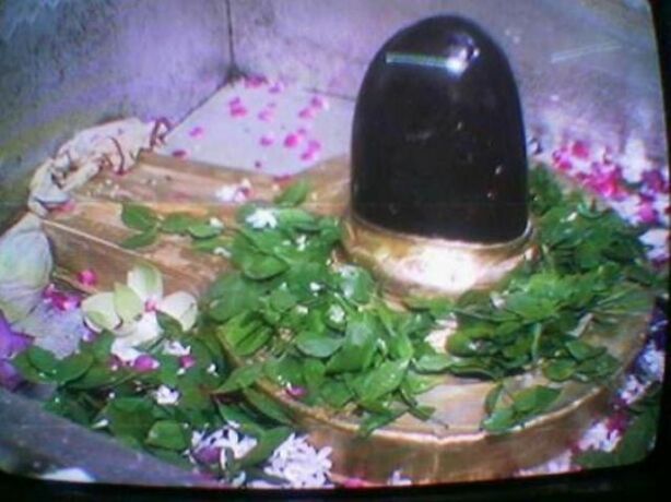 शिव को अनाज चढ़ाने का है विशेष महत्व