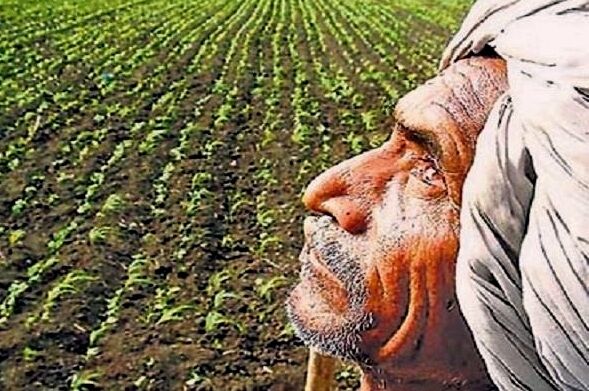किसानो को राहत : जीएसटी लागू होने से पहले काउंसिल की बैठक में लिया गया अहम फैसला