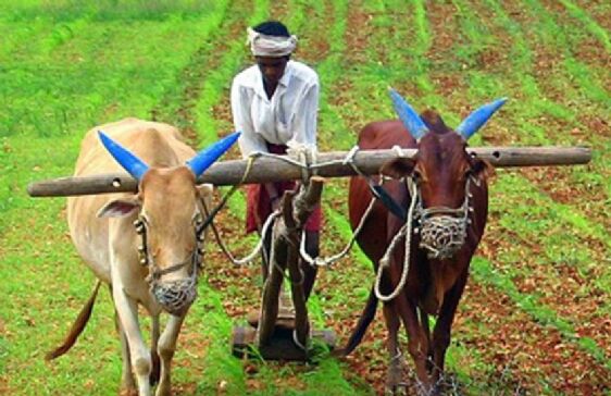 केवल खेती पर निर्भर न रहें किसान: कृषि मंत्री