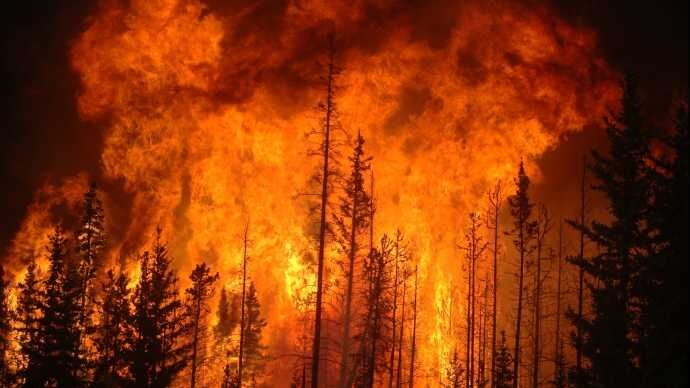कैलिफोर्निया के जंगलों में लगी आग, 10 की मौत