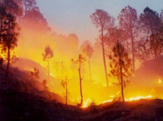 उत्तराखंड: आग बुझाने में जुटी वायुसेना, गृह मंत्री ने  की  बैठक
