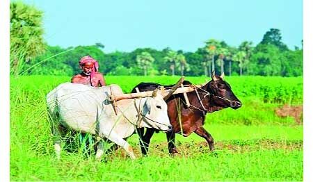 आयात शुल्क में वृद्धि, किसानों को लाभ