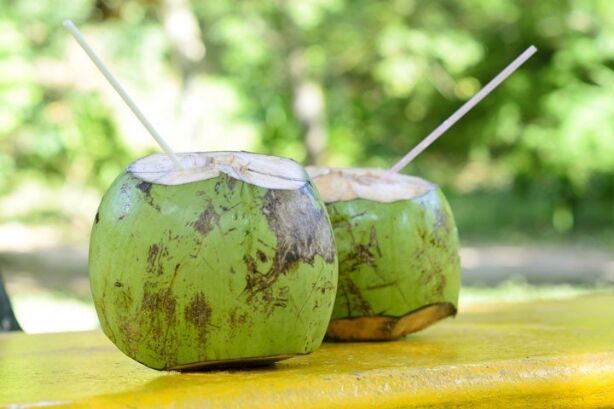 ....जानें नारियल पानी पीने के फायदे