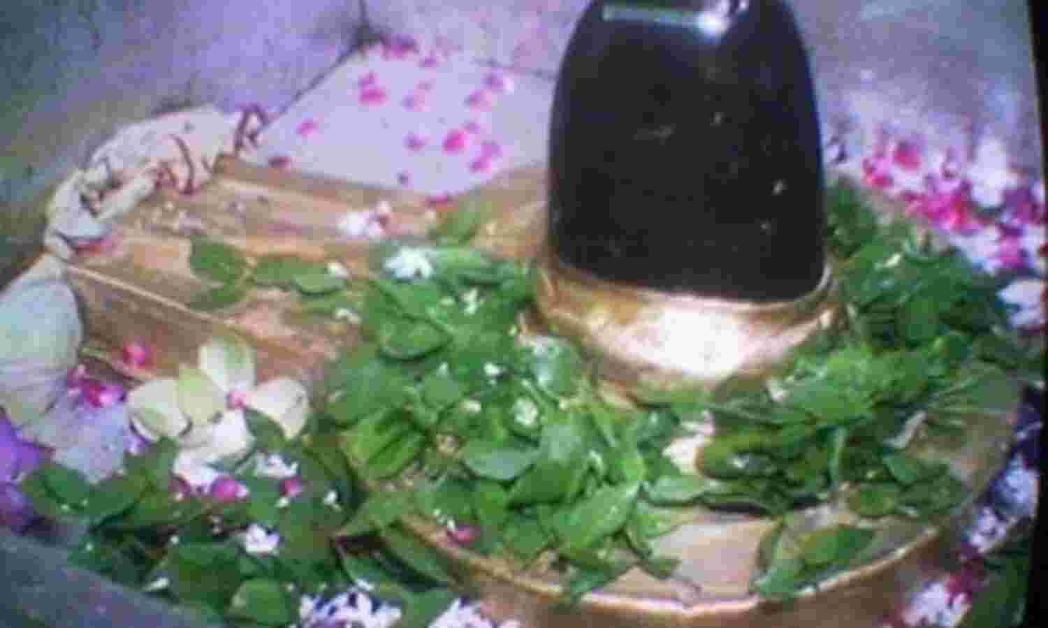 शिव को अनाज चढ़ाने का है विशेष महत्व शिव को अनाज चढ़ाने का है विशेष महत्व