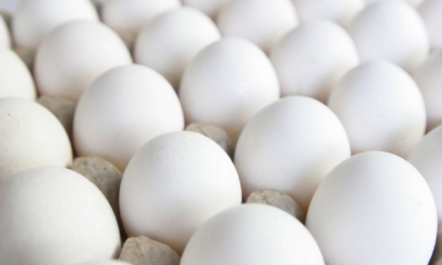 शुगर लेवल कंट्रोल करने के लिए करे प्रतिदिन इसका उपयोग शुगर लेवल कंट्रोल करने के लिए करे प्रतिदिन इसका उपयोग