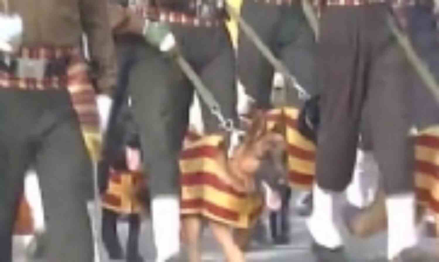 राजपथ पर ऊंट की जगह अबकी बार सेना का श्वान दस्ता राजपथ पर ऊंट की जगह अबकी बार सेना का श्वान दस्ता