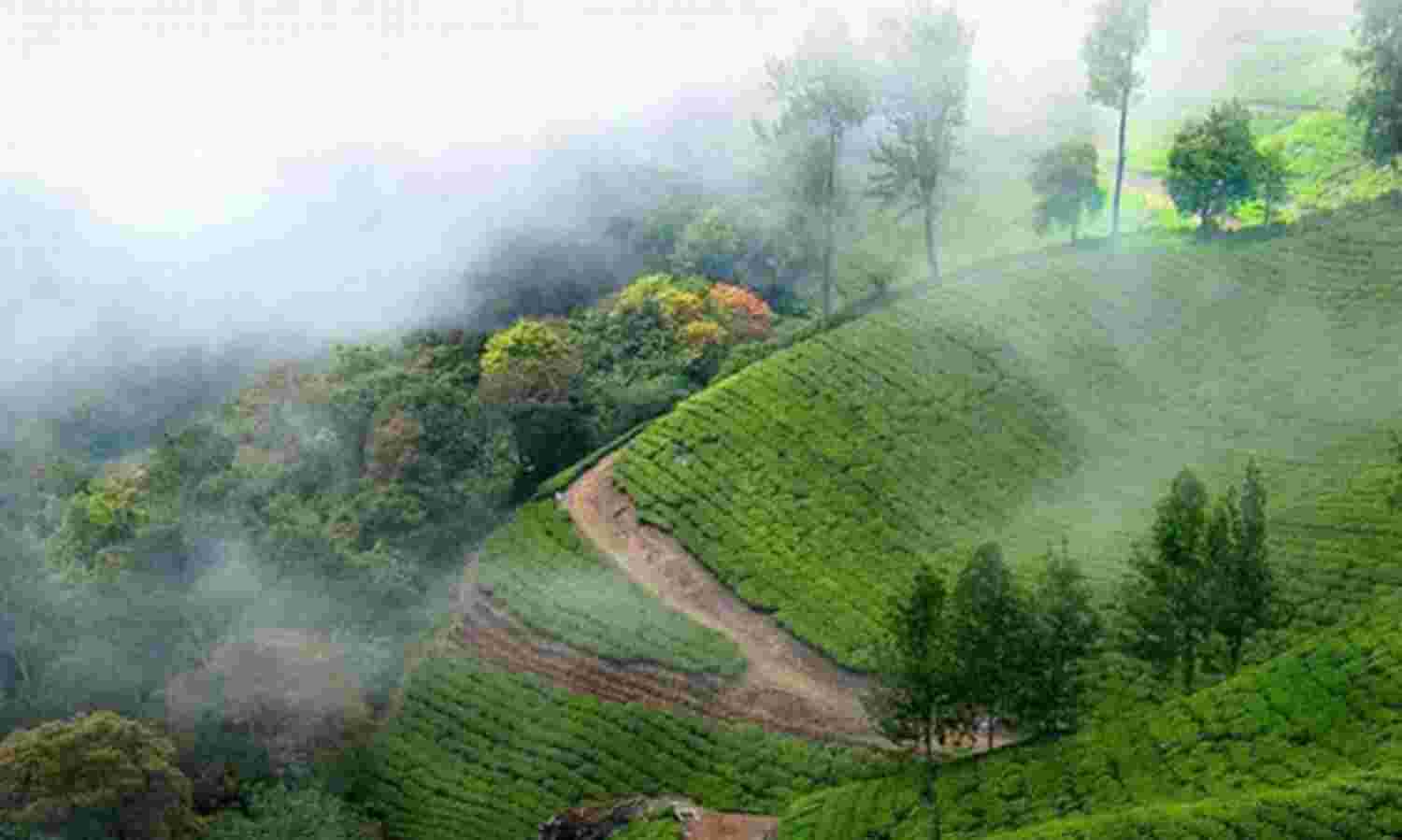 यहां लें गर्मियों की छुट्टियों का आनंद