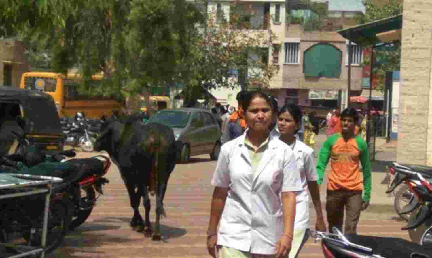 ये हैं सड़कों के राजा, न रोक पाओगे न टोक पाओगे ये हैं सड़कों के राजा, न रोक पाओगे न टोक पाओगे