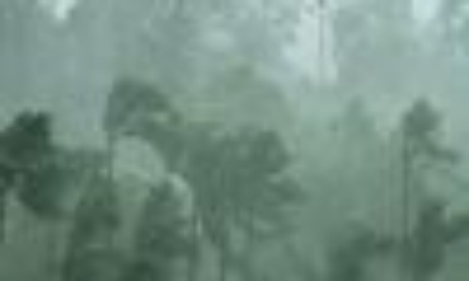 भारी बारिश से आंध्र प्रदेश बेहाल, 22 की मौत