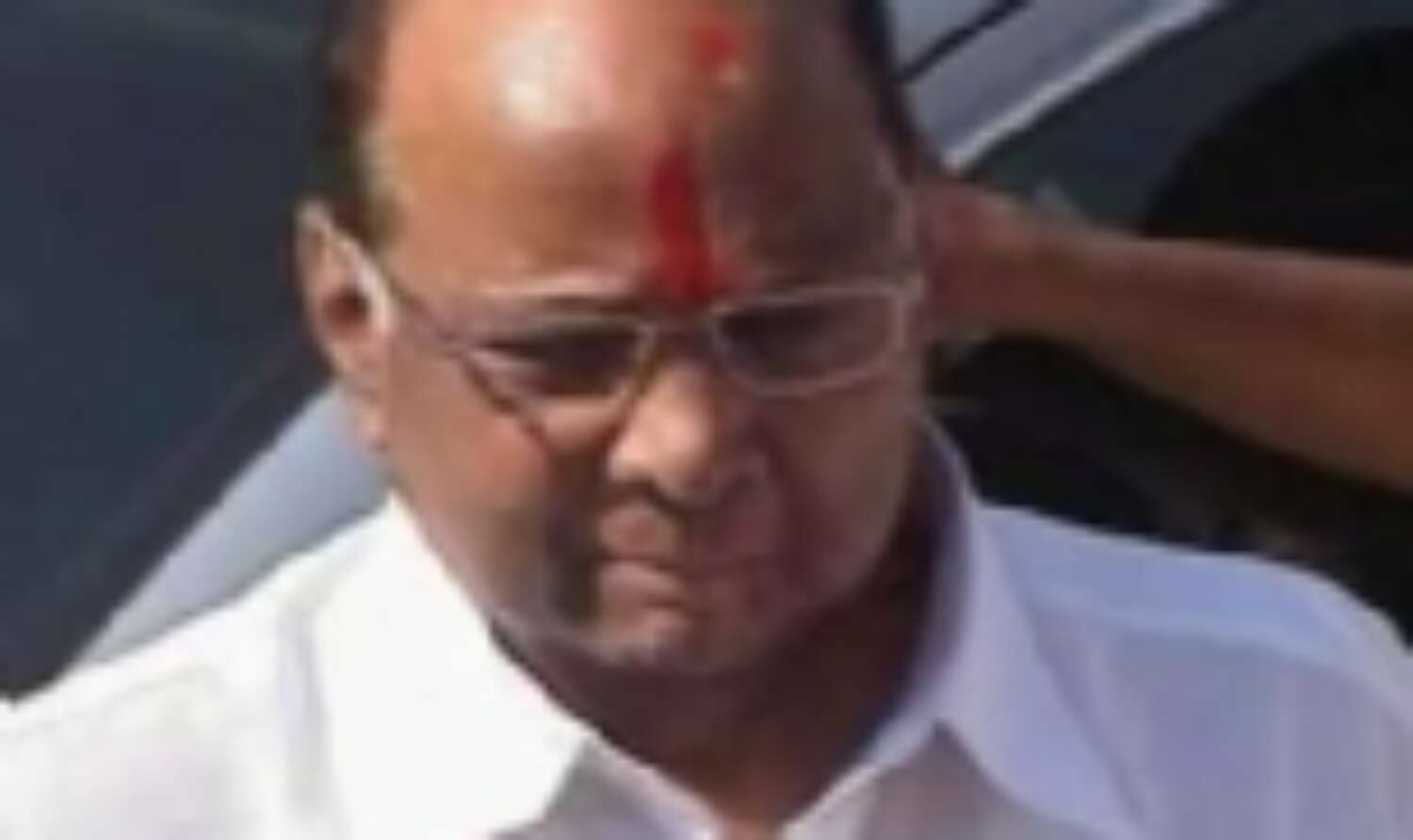 भाजपा बन सकती है सबसे बड़ी पार्टीः शरद पवार भाजपा बन सकती है सबसे बड़ी पार्टीः शरद पवार