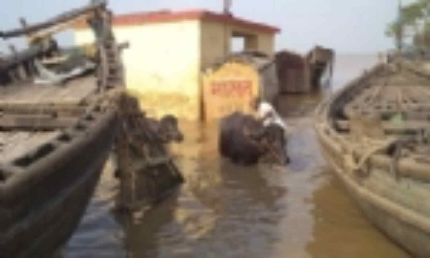 बिहार में 3500 से अधिक गांवों अभी भी बाढ़ की चपेट में बिहार में 3500 से अधिक गांवों अभी भी बाढ़ की चपेट में