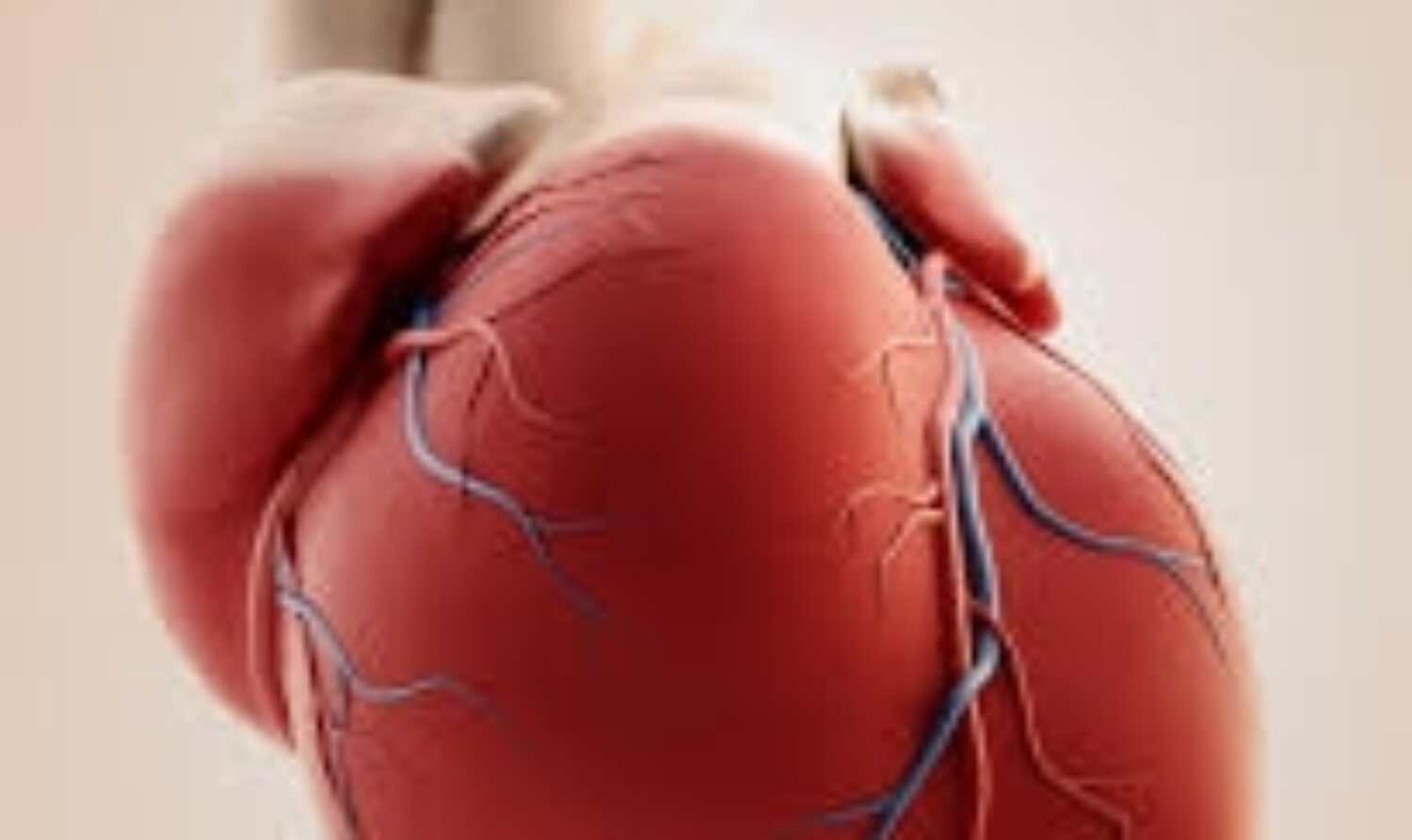 बिना दिल के 555 दिन तक जिंदा रहा ये खिलाडी! बिना दिल के 555 दिन तक जिंदा रहा ये खिलाडी!