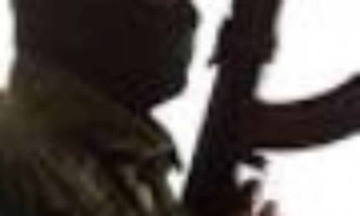 बाबरी विध्वंस की बरसी पर दिल्ली में आतंकी हमले का खतरा बाबरी विध्वंस की बरसी पर दिल्ली में आतंकी हमले का खतरा