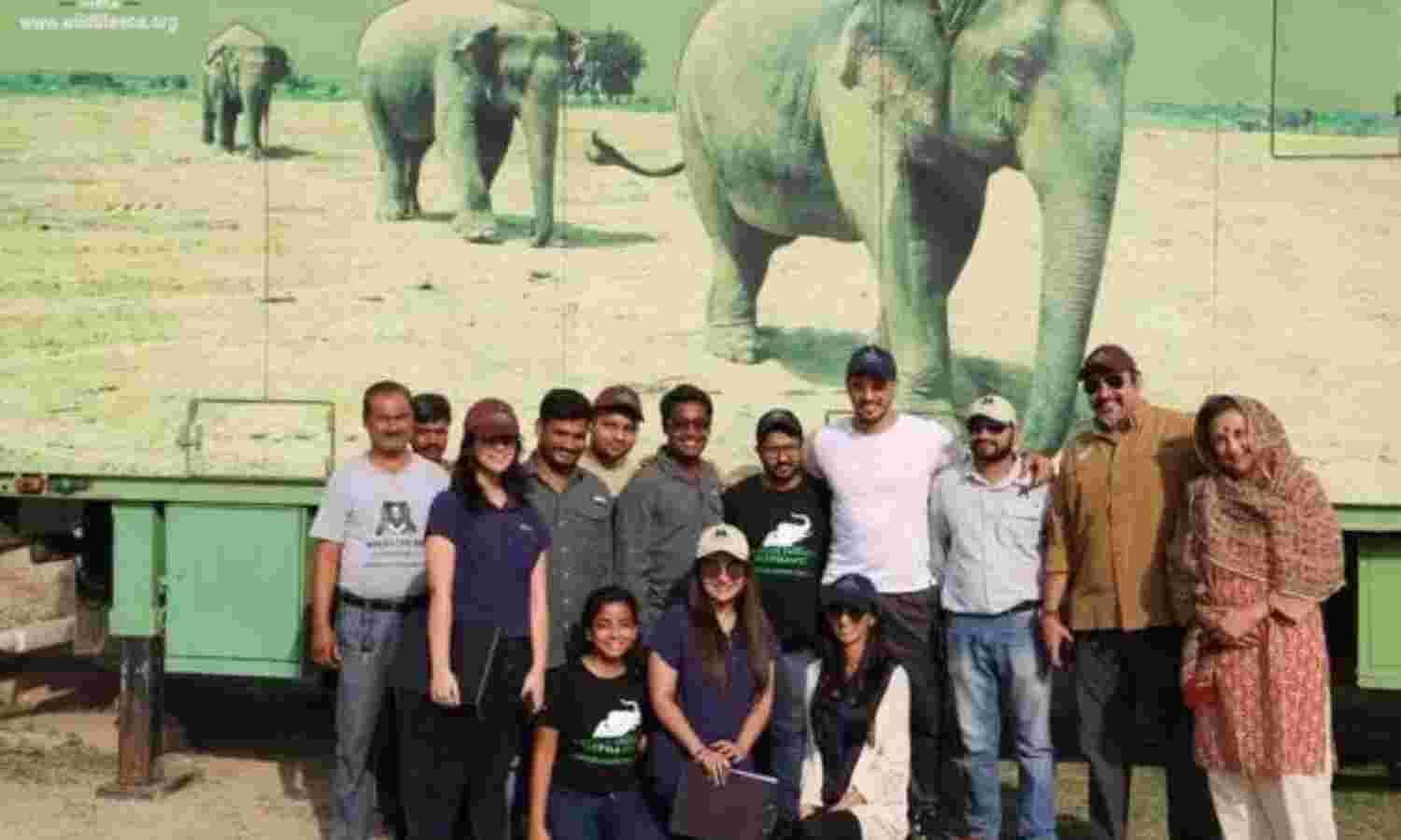 बाघों की तरह हाथियों को भी मिले संरक्षण बाघों की तरह हाथियों को भी मिले संरक्षण