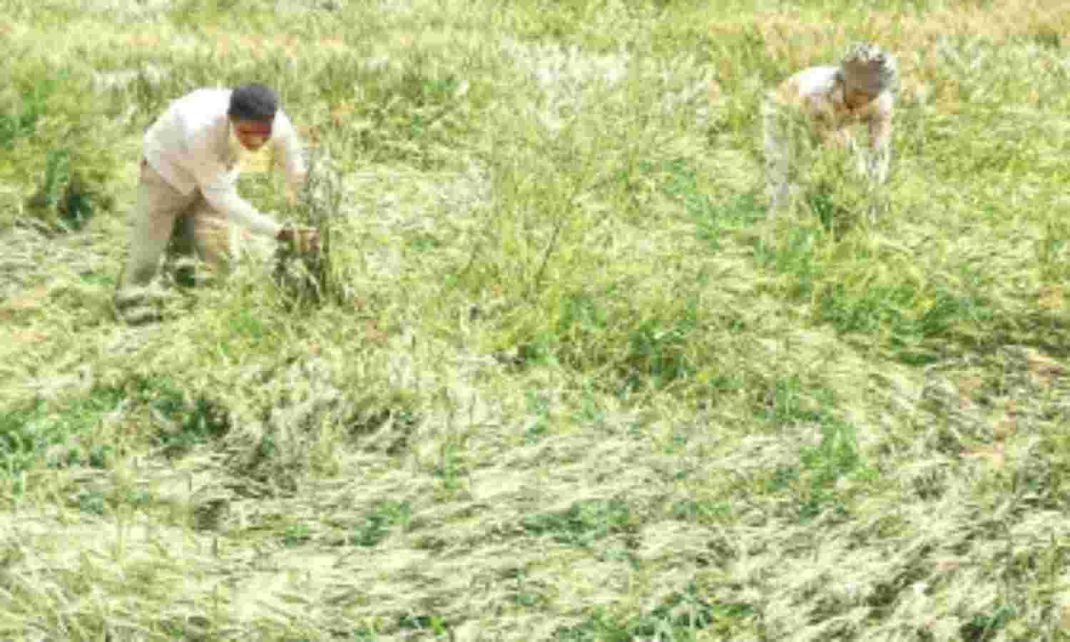 बरसात का कहर, जानिए क्या-क्या होगा महंगा?