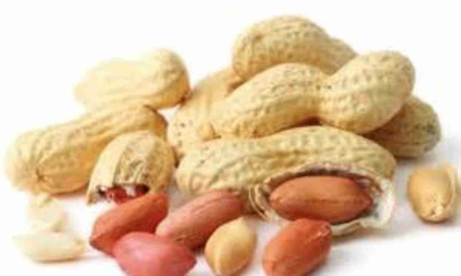 बुढ़ापे और झुर्रियों को दूर भगाएं मुंगफली बुढ़ापे और झुर्रियों को दूर भगाएं मुंगफली