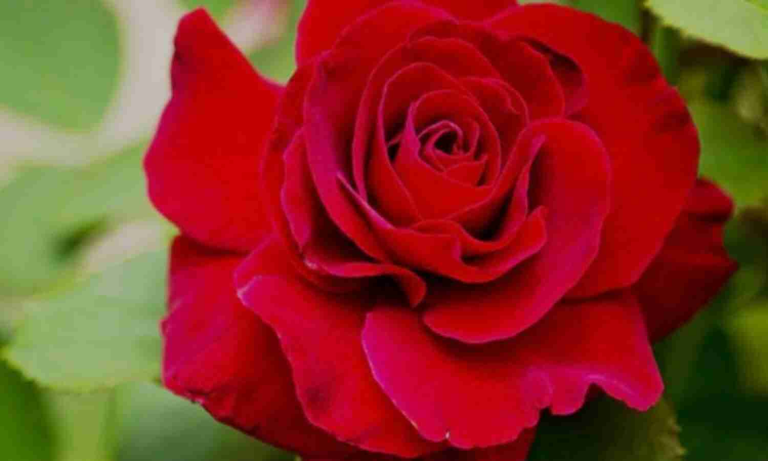 बढ़ते वजन को कम करने के लिए करें, ये उपाय बढ़ते वजन को कम करने के लिए करें, ये उपाय