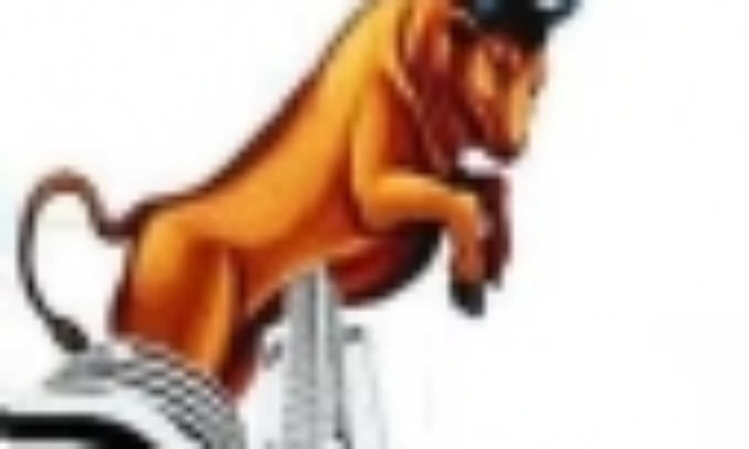 बढ़त के साथ बंद हुआ बाजार