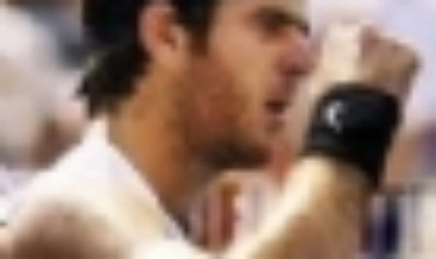 पोत्रो सिडनी अंतरराष्ट्रीय टेनिस टूर्नामेंट के फाइनल में पोत्रो सिडनी अंतरराष्ट्रीय टेनिस टूर्नामेंट के फाइनल में