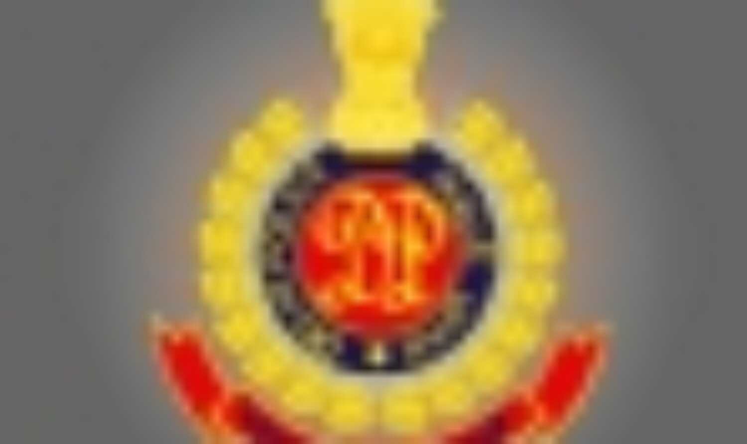 पीड़िता के दोस्त के आरोपों से दिल्ली पुलिस का इंकार पीड़िता के दोस्त के आरोपों से दिल्ली पुलिस का इंकार