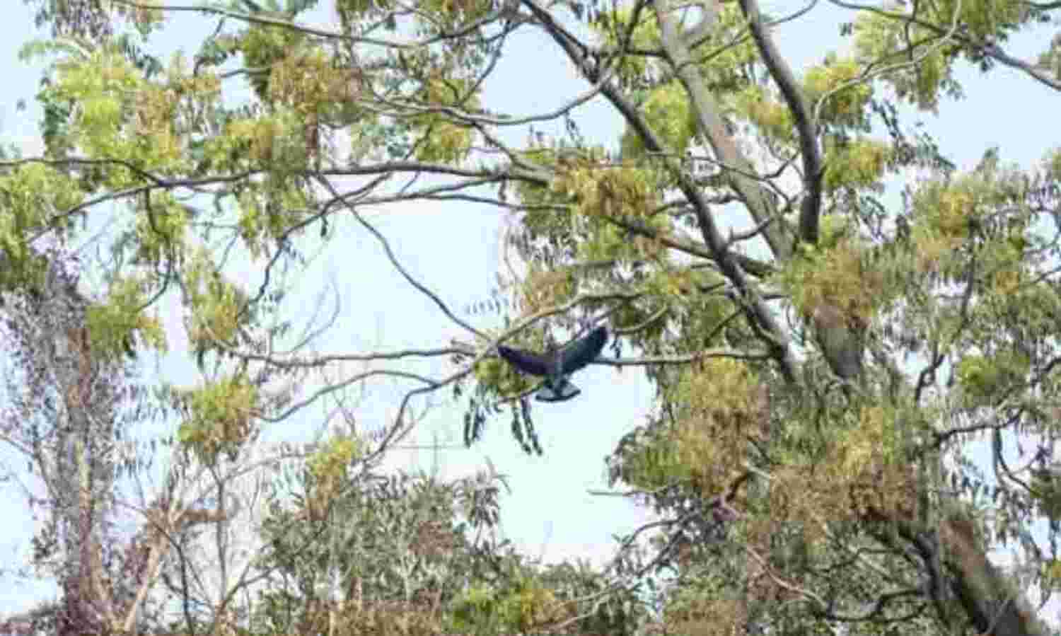 पारा 39 के करीब, सबसे गर्म रहा मंगलवार पारा 39 के करीब, सबसे गर्म रहा मंगलवार