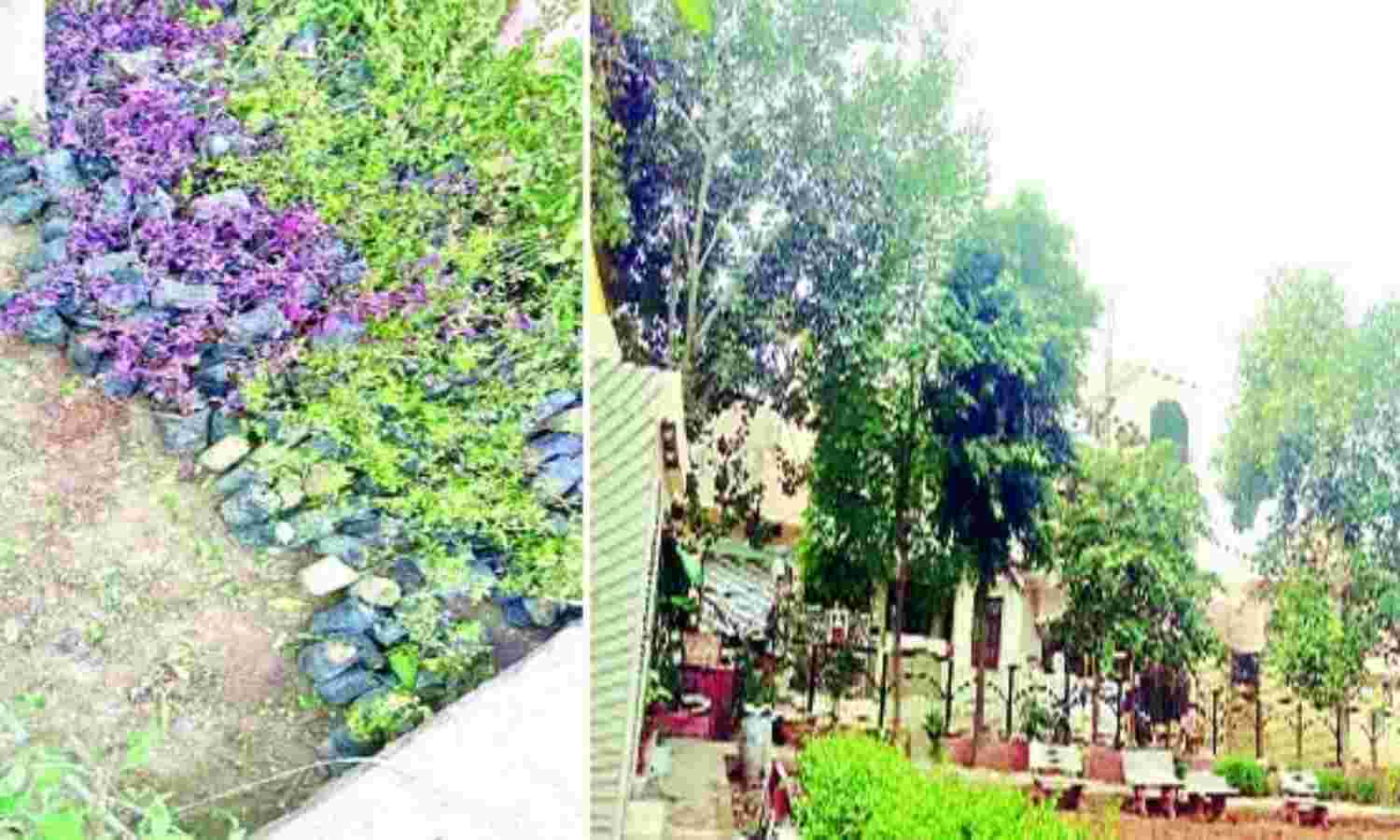 पार्कों के सौन्दर्यीकरण के नाम पर लीपा -पोती, नहीं दे रहा कोई ध्यान