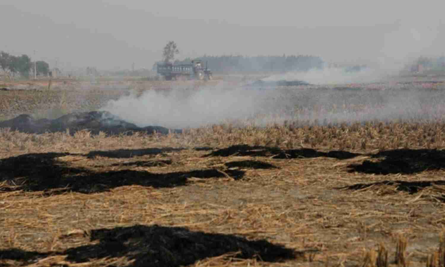 पराली के धुएं से मिलेगी मुक्ति :  बायो-एनर्जी बनाएगा पंजाब, लगेंगे 400 प्रोसेसिंग प्लांट