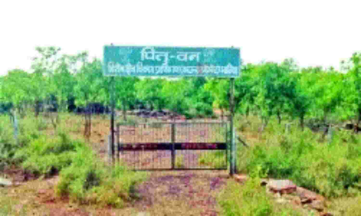 पुरखों की स्मृति में बना पितृवन हुआ वीरान पुरखों की स्मृति में बना पितृवन हुआ वीरान