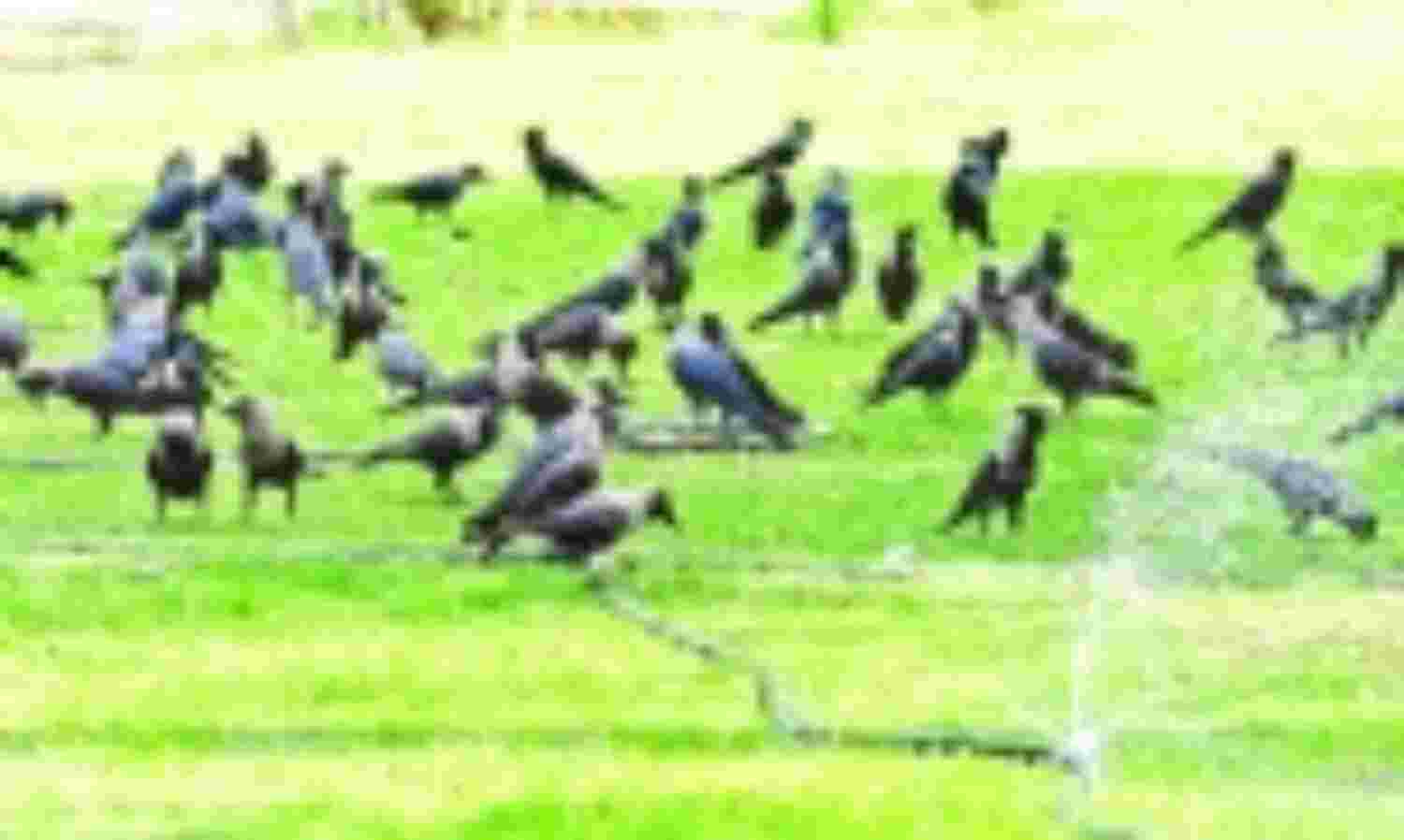 नौतपा से पहले ही बरसी आग