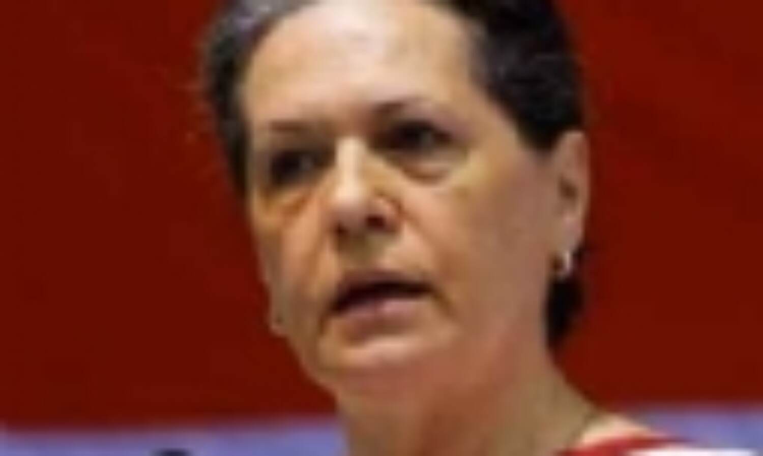 धर्मनिरपेक्षता के बिना भारत नहीं हो सकता: सोनिया गांधी धर्मनिरपेक्षता के बिना भारत नहीं हो सकता: सोनिया गांधी