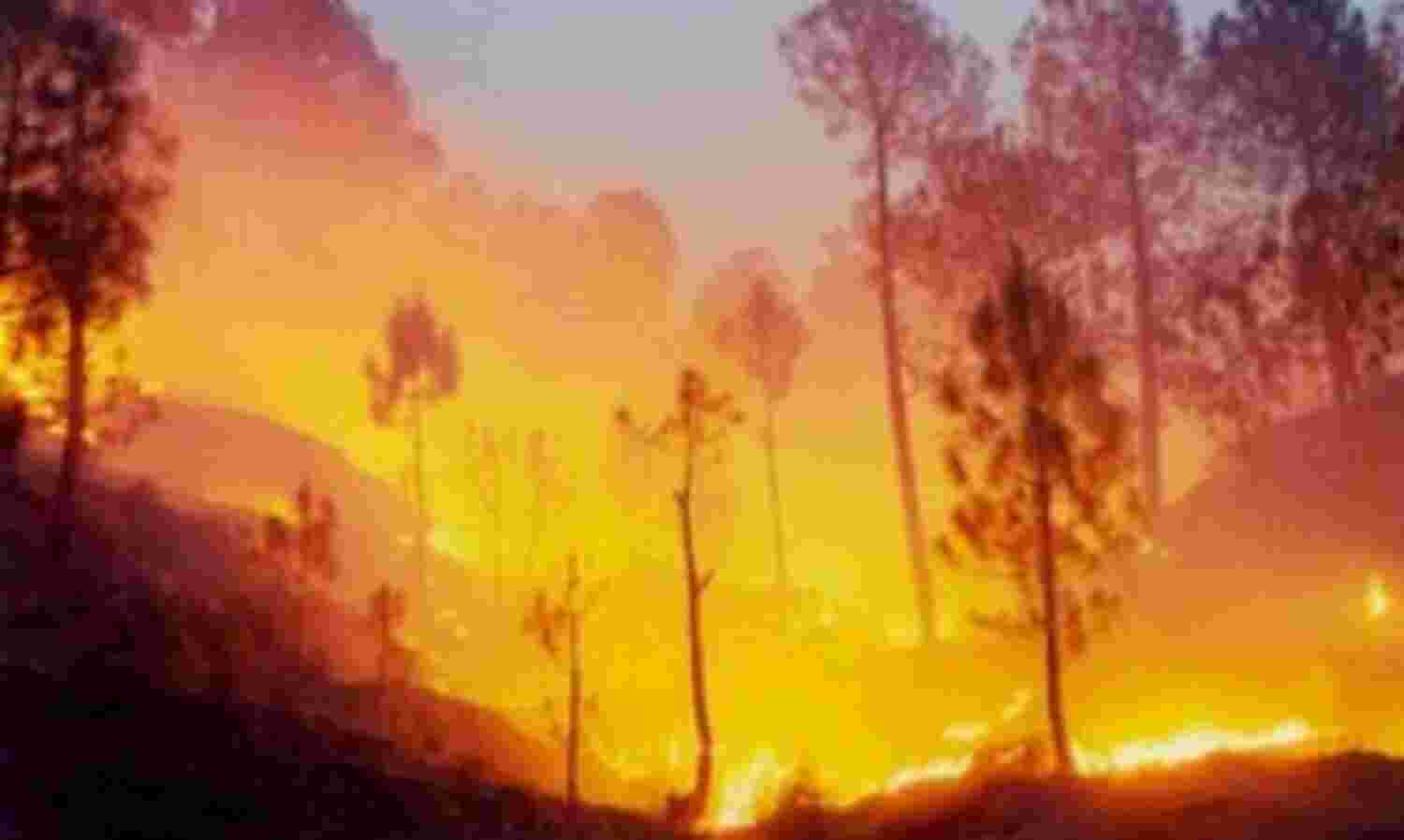 दिल्ली सरकार करेगी उत्तराखंड जंगल की आग बुझाने में मदद