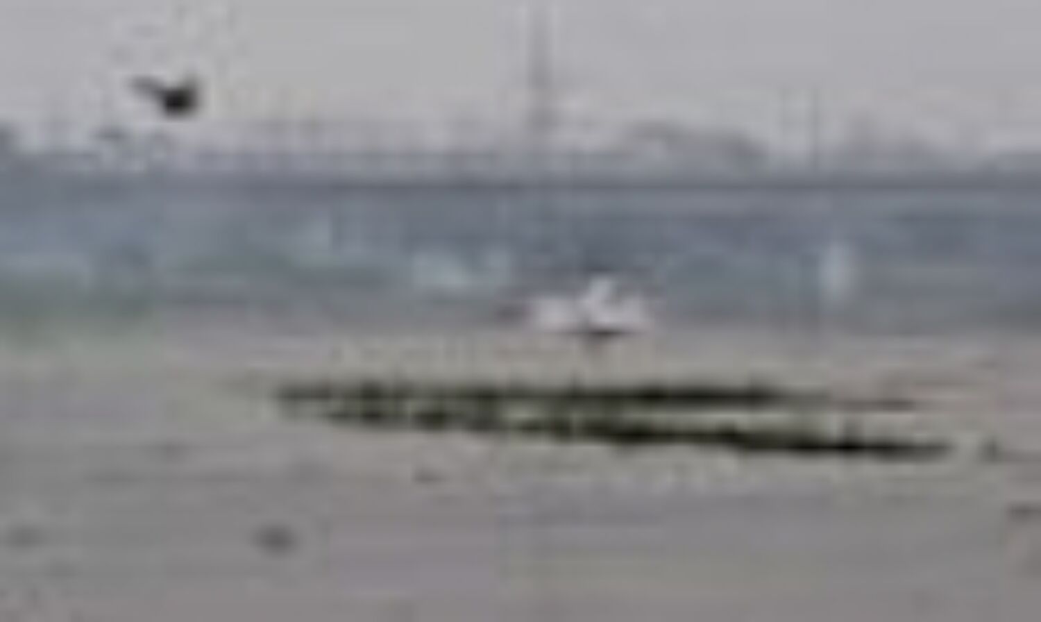 दिल्ली में ख़तरे के निशान के पास पहुंचा यमुना का जलस्तर