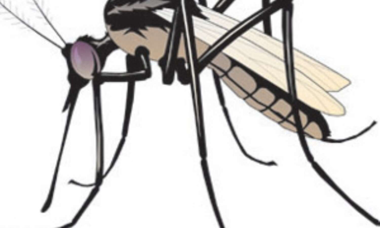 तीस को और मारा डेंगू ने डंक