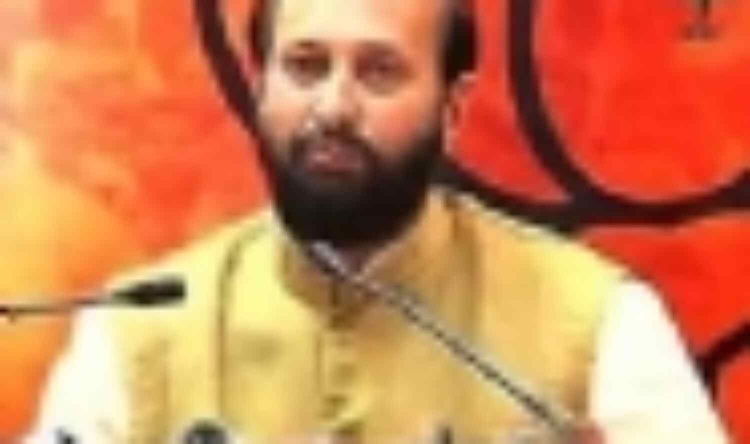 जेपीसी ने 2जी घोटाले पर लीपापोती की : भाजपा