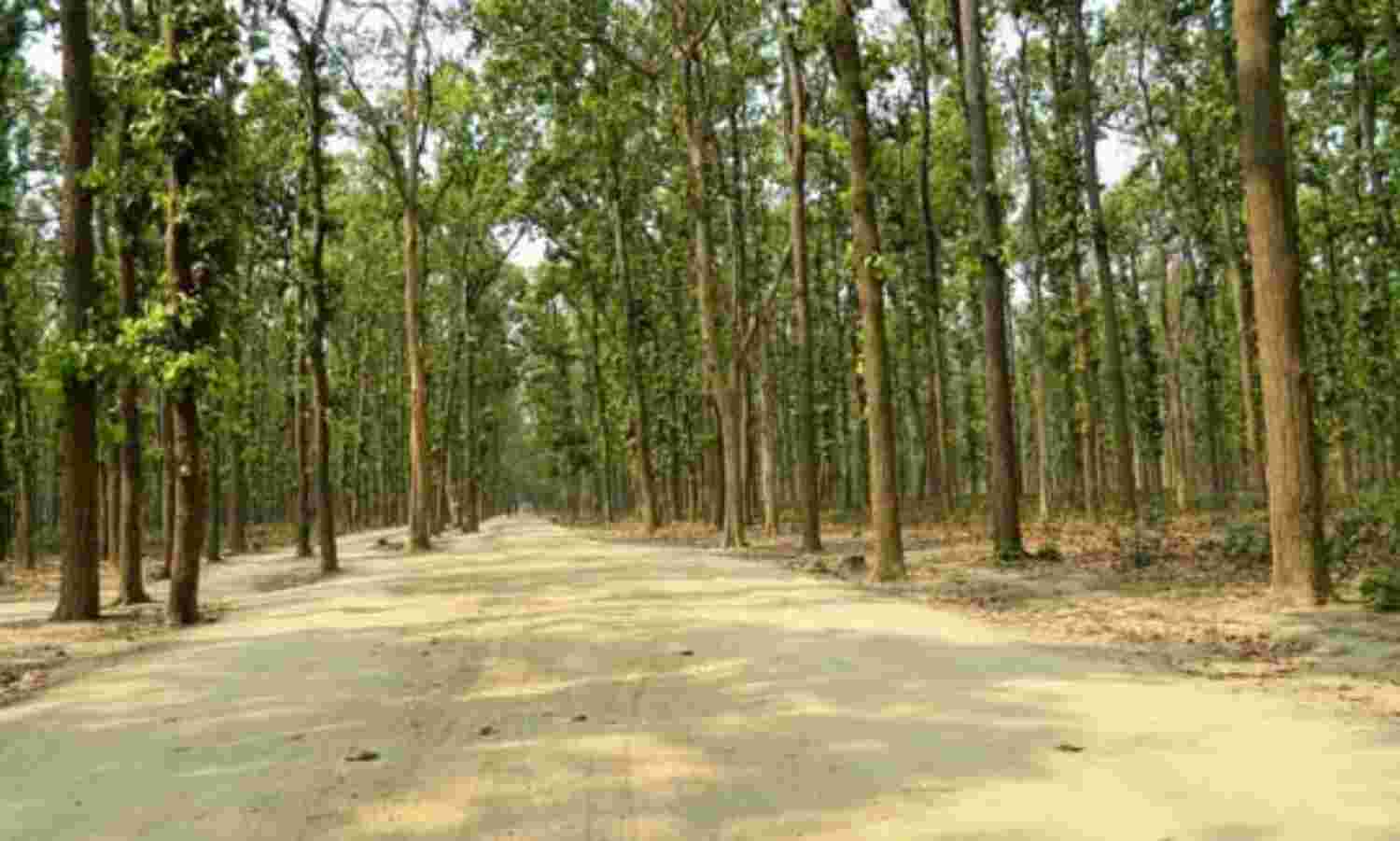 जब कार्रवाई का साहस ही नहीं तो सूची कैसी?