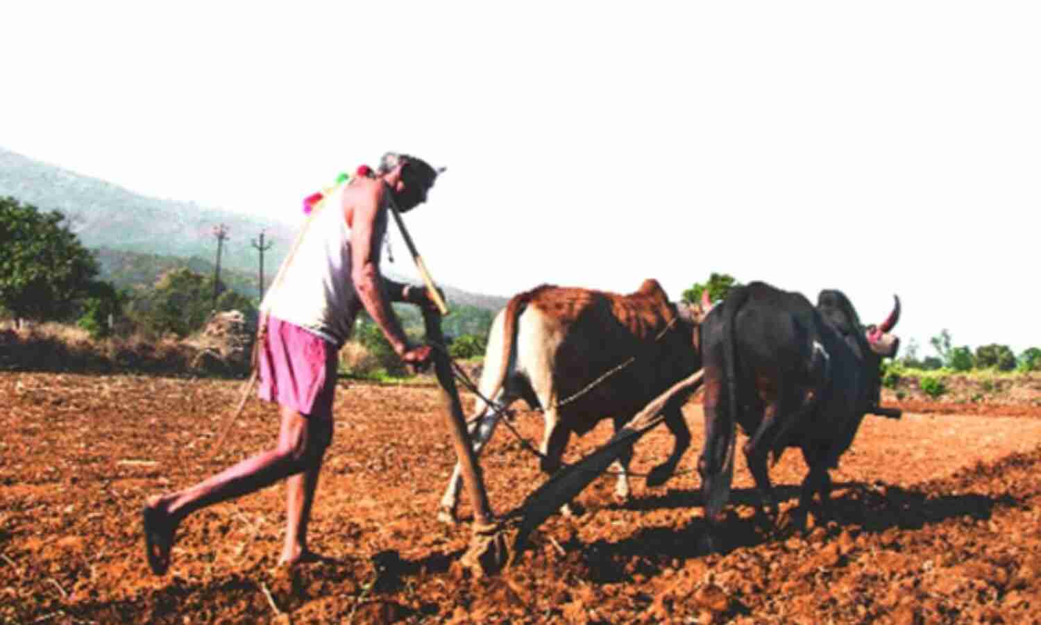 कर्नाटक में कांग्रेस सरकार का एक सच यह भी, करते रहे 15 किसान हर सप्ताह आत्महत्या कर्नाटक में कांग्रेस सरकार का एक सच यह भी, करते रहे 15 किसान हर सप्ताह आत्महत्या