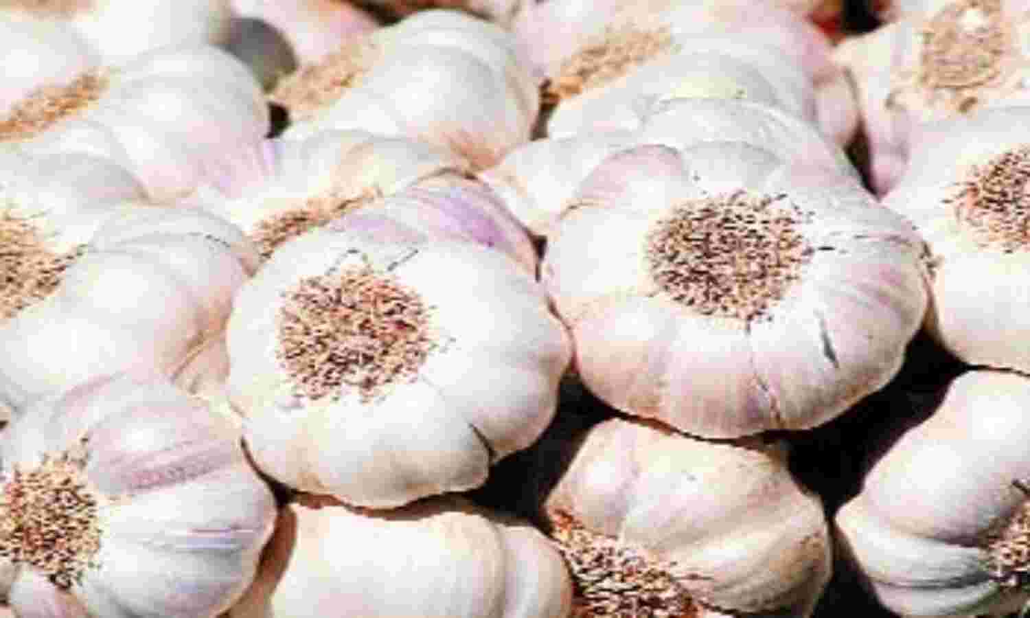 उच्च न्यायालय ने पूछा, लहसुन सब्जी है या मसाला