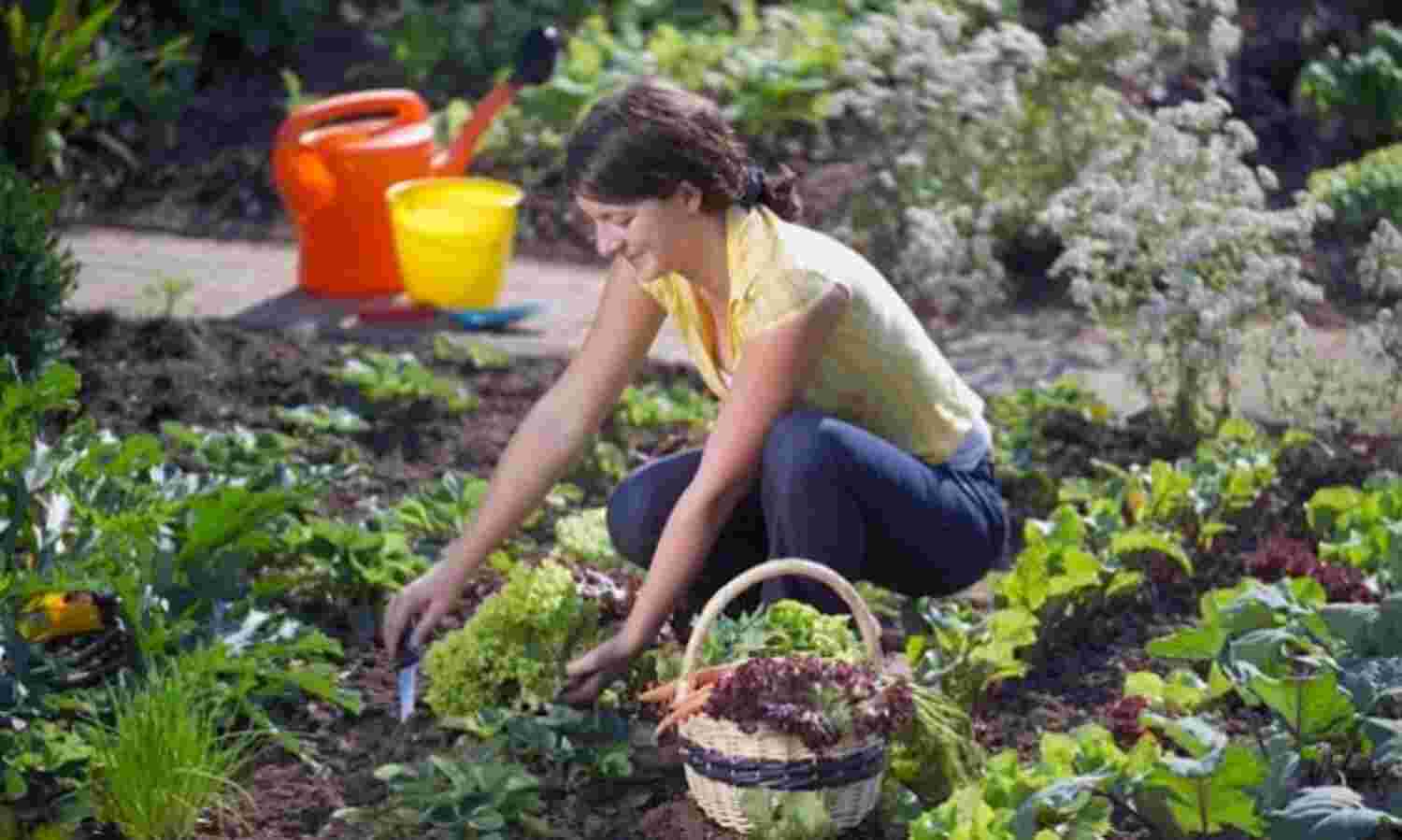 इस तरह रखें अपना गार्डन का ख्याल