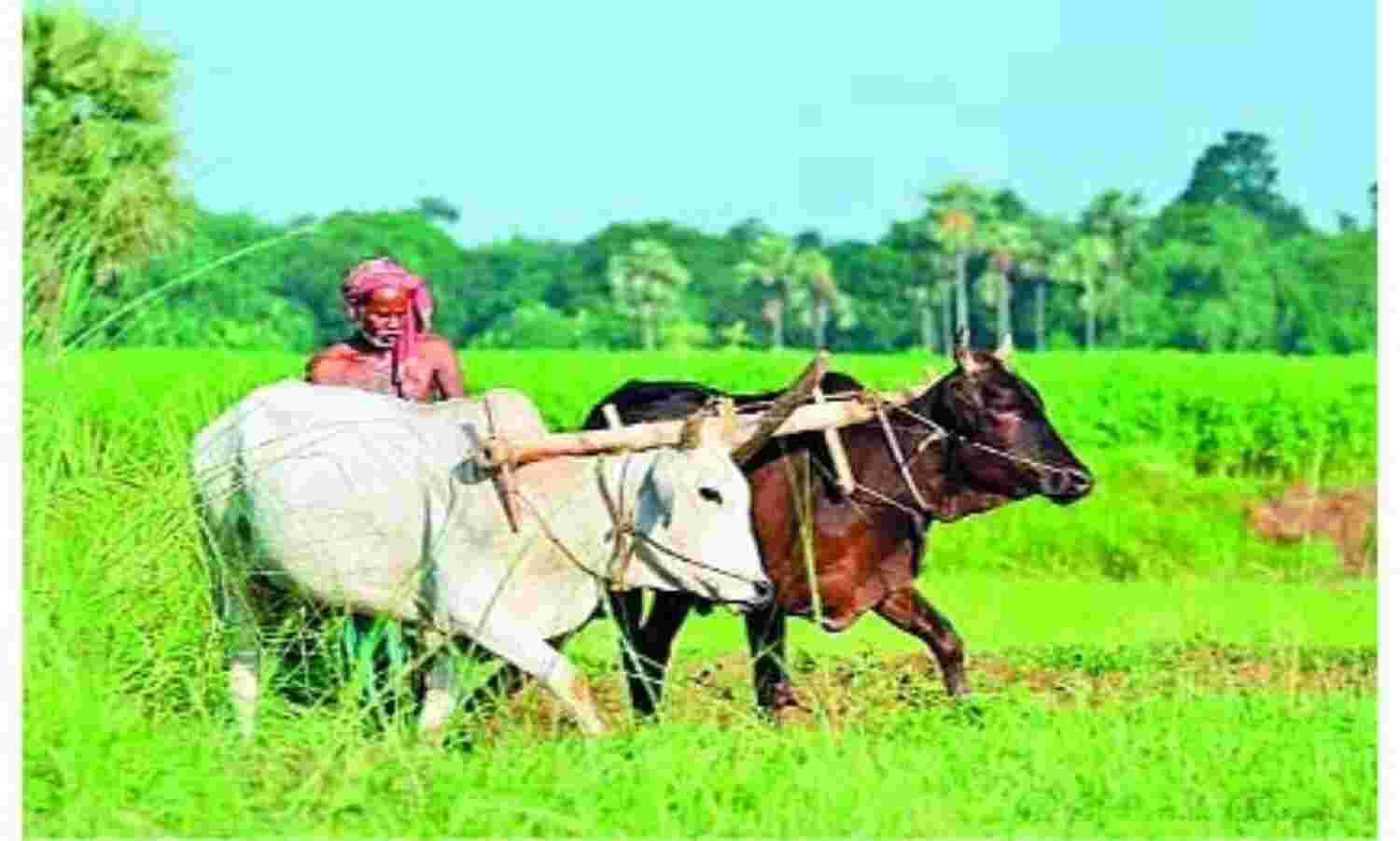 आयात शुल्क में वृद्धि, किसानों को लाभ आयात शुल्क में वृद्धि, किसानों को लाभ