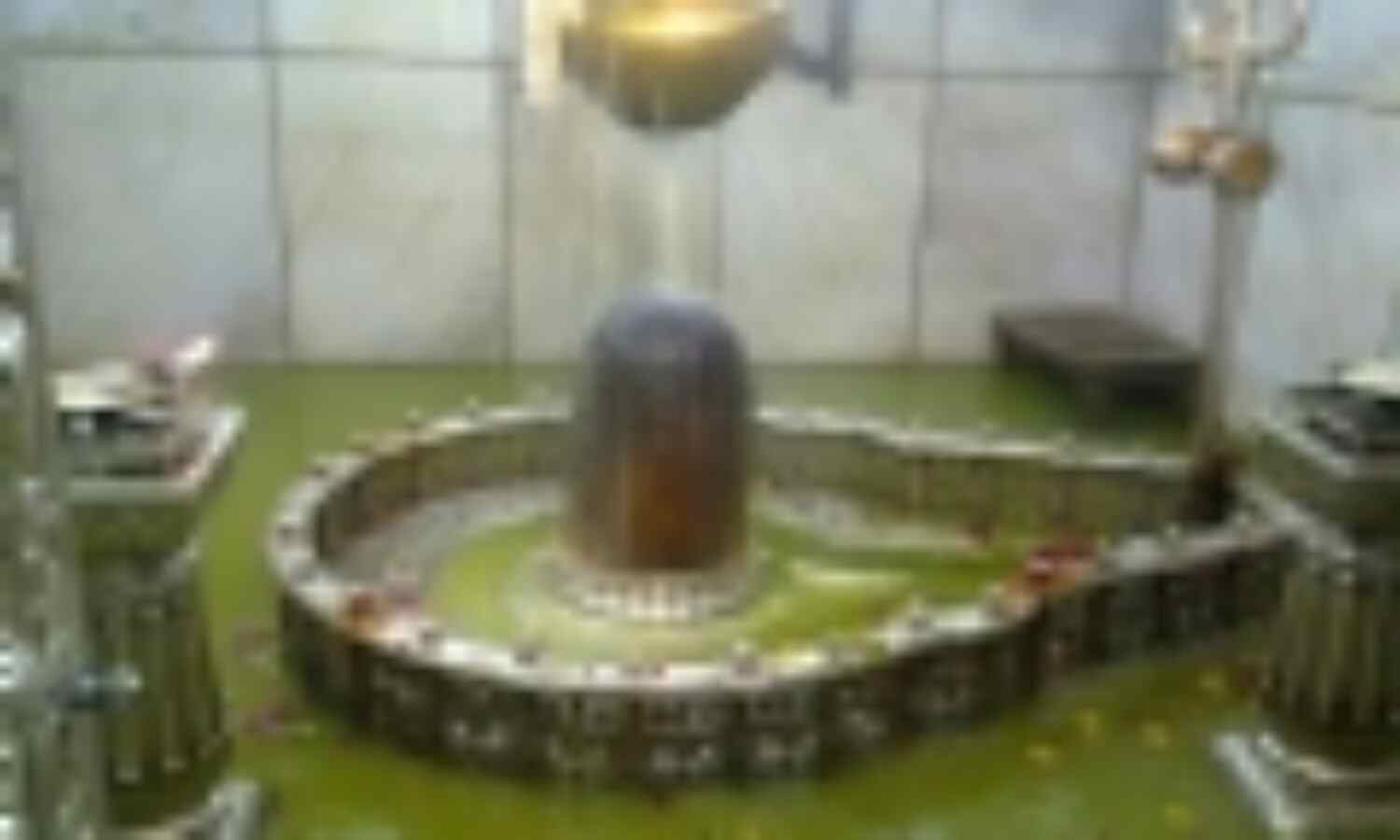 गैंगरेप पीड़िता के लिए महाकाल में महामृत्युंजय जप गैंगरेप पीड़िता के लिए महाकाल में महामृत्युंजय जप