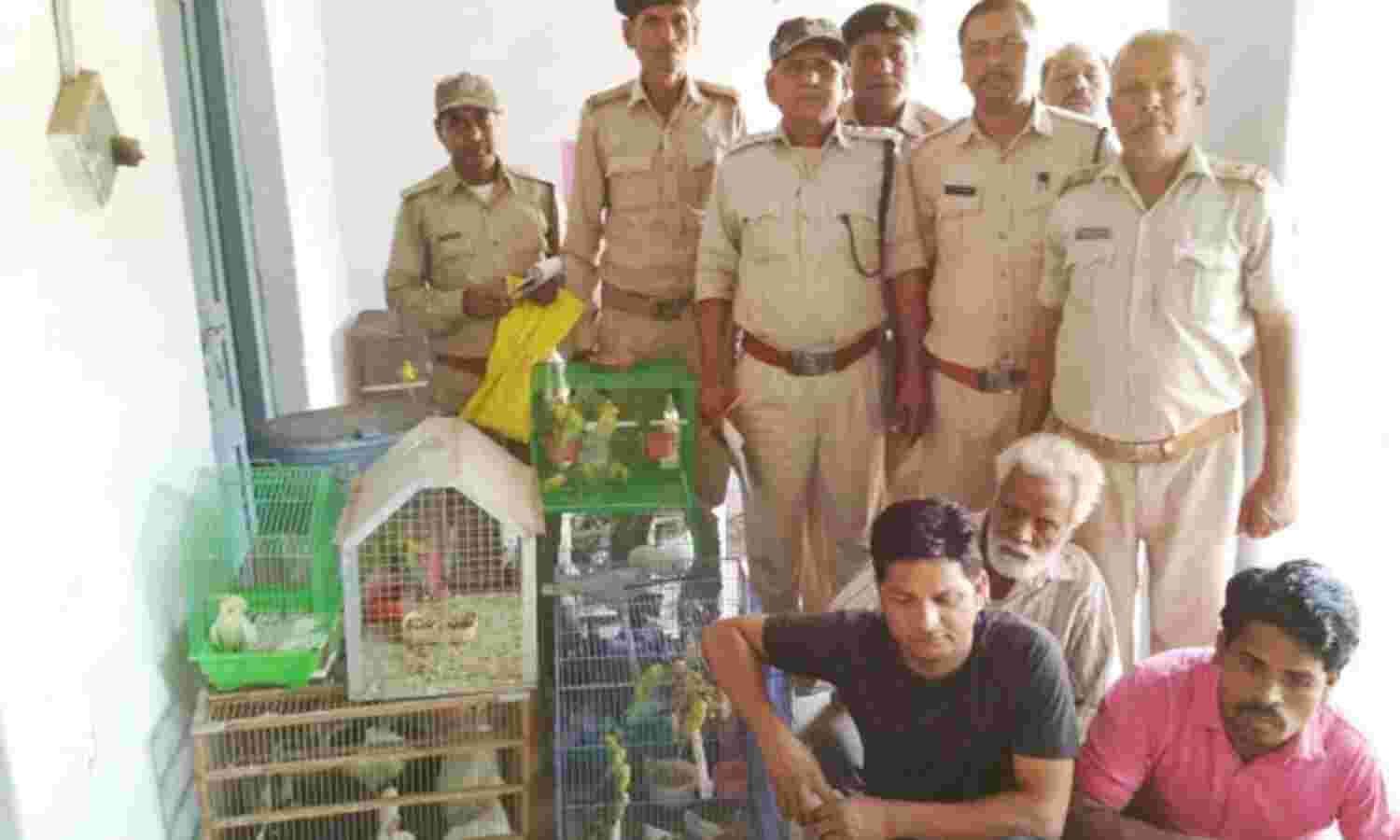 हाट बाजार में हीरामन तोता और कछुआ बेचते दो लोग पकड़े