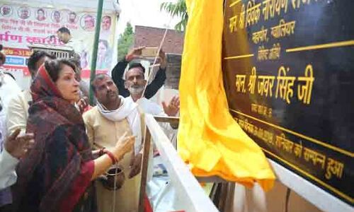 मंत्री जी, काफी खराब हैं हमारे सेक्टर की सड़क