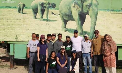 बाघों की तरह हाथियों को भी मिले संरक्षण