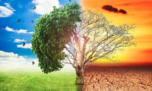 बदलता मौसम खतरे का संकेत