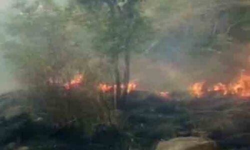 तमिलनाडु : जंगल में लगी भीषण आग में 9 लोगों की मौत