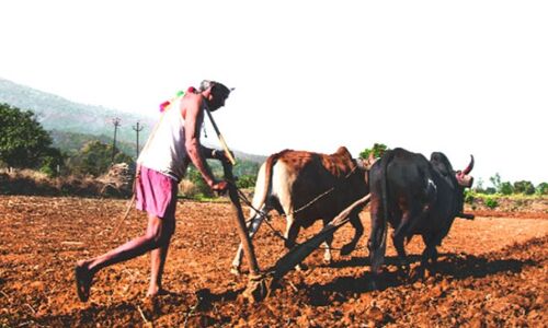 कर्नाटक में कांग्रेस सरकार का एक सच यह भी, करते रहे 15 किसान हर सप्‍ताह आत्‍महत्‍या