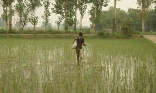 इस साल मॉनसून सीजन में अच्छी बरसात होने के आसार